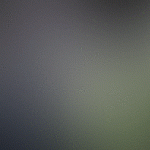 single_content_gif_v01